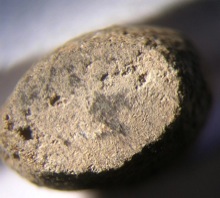Lapillo Chiemgau2